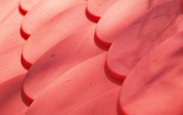 Paley Street plastic roof costs